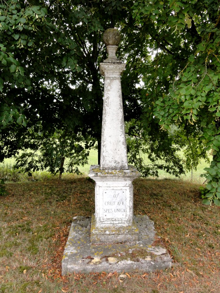 Les Souhesmes (Les Souhesmes-Rampont, Meuse) croix de chemin Souhesme-la-Grande B