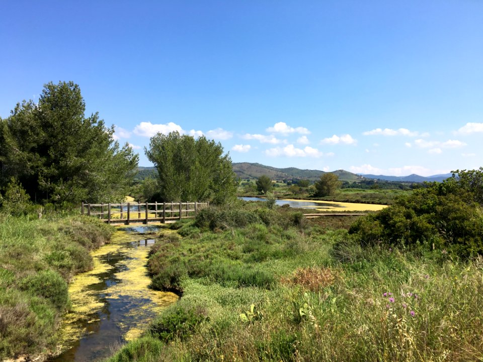 Les Vieux Salins, Espace Nature - Les Salins-d'Hyères 01