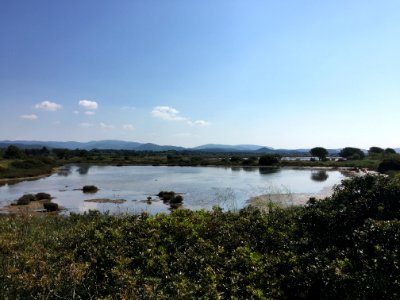 Les Vieux Salins, Espace Nature - Les Salins-d'Hyères 04