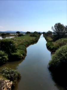 Les Vieux Salins, Espace Nature - Les Salins-d'Hyères 02