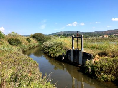 Les Vieux Salins, Espace Nature - Les Salins-d'Hyères 03
