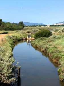 Les Vieux Salins, Espace Nature - Les Salins-d'Hyères 05