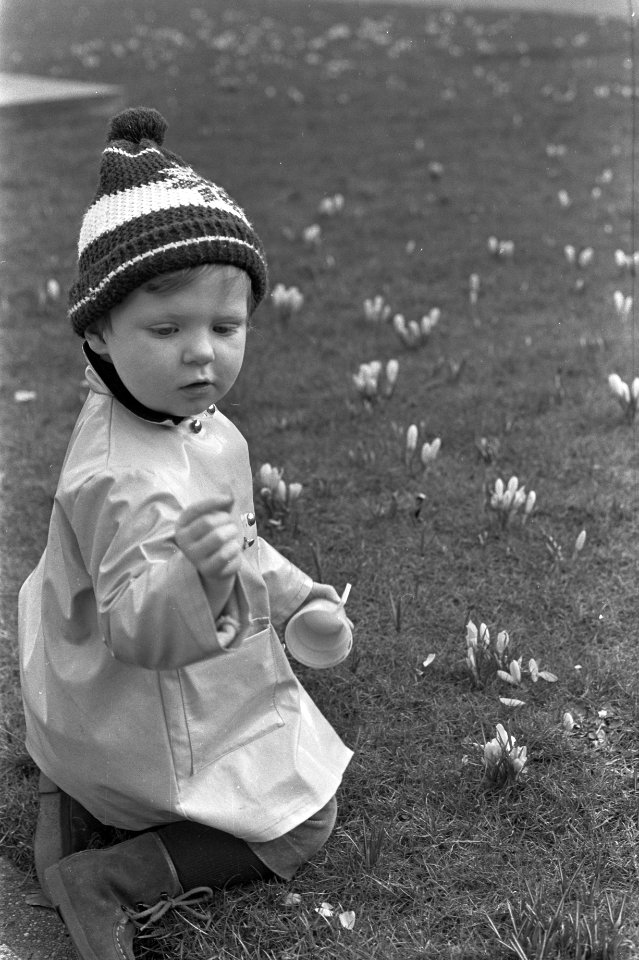 Lentebode, moeders met kinderen in Vondelpark jongetje tussen krokussen, Bestanddeelnr 922-1898