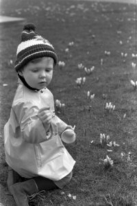 Lentebode, moeders met kinderen in Vondelpark jongetje tussen krokussen, Bestanddeelnr 922-1898