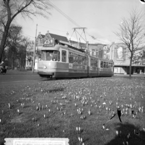 Lentecrocussen op het Weteringcircuit in Amsterdam, Bestanddeelnr 916-1452