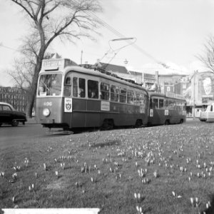 Lentecrocussen op het Weteringcircuit in Amsterdam, Bestanddeelnr 916-1453