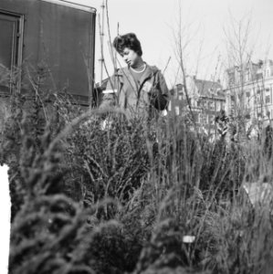 Lente op het Amsterdamse Amstelveld Heesterverkoop Meisje tussen heesters, Bestanddeelnr 912-1812