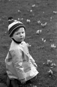 Lentebode, moeders met kinderen in Vondelpark jongetje tussen krokussen, Bestanddeelnr 922-1899