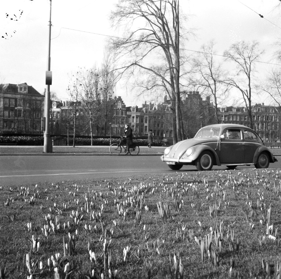 Lentecrocussen op het Weteringcircuit in Amsterdam, Bestanddeelnr 916-1451