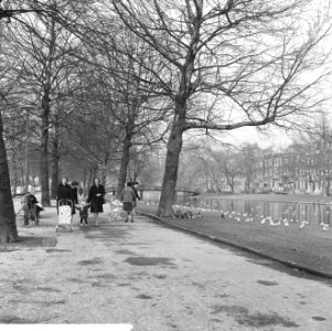 Lenteweer wandeldrukte op Heemraadsingel te Rotterdam, Bestanddeelnr 916-0992