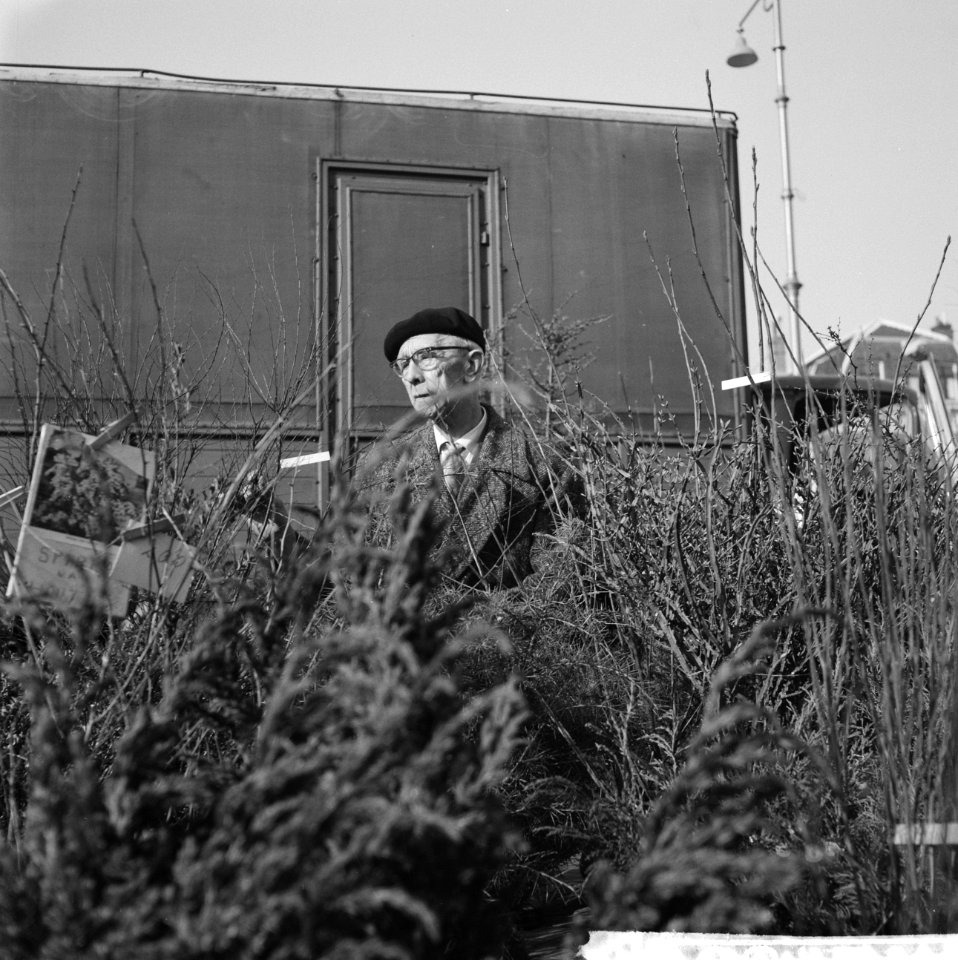 Lente op het Amsterdamse Amstelveld Heesterverkoop Oude man tussen de heesters, Bestanddeelnr 912-1803