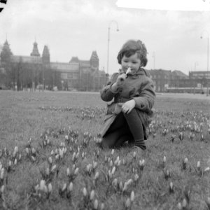 Lente nadert, crocussen bloeien in de perken te Amsterdam, Bestanddeelnr 912-0842