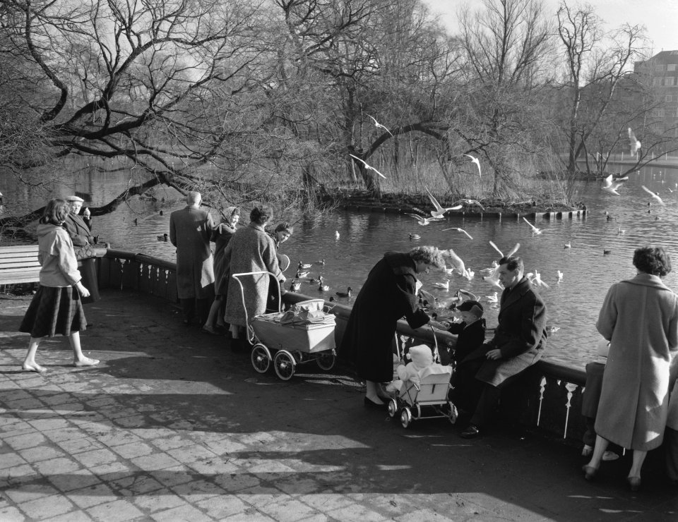 Lenteweer in het Vondelpark, Bestanddeelnr 910-1209