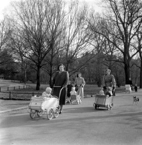 Lenteplaatjes. Heidewagens in Vondelpark, Bestanddeelnr 905-6076