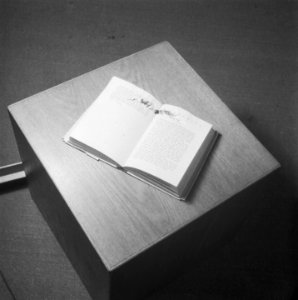 Leonard Huizinga, Bestanddeelnr 901-0684
