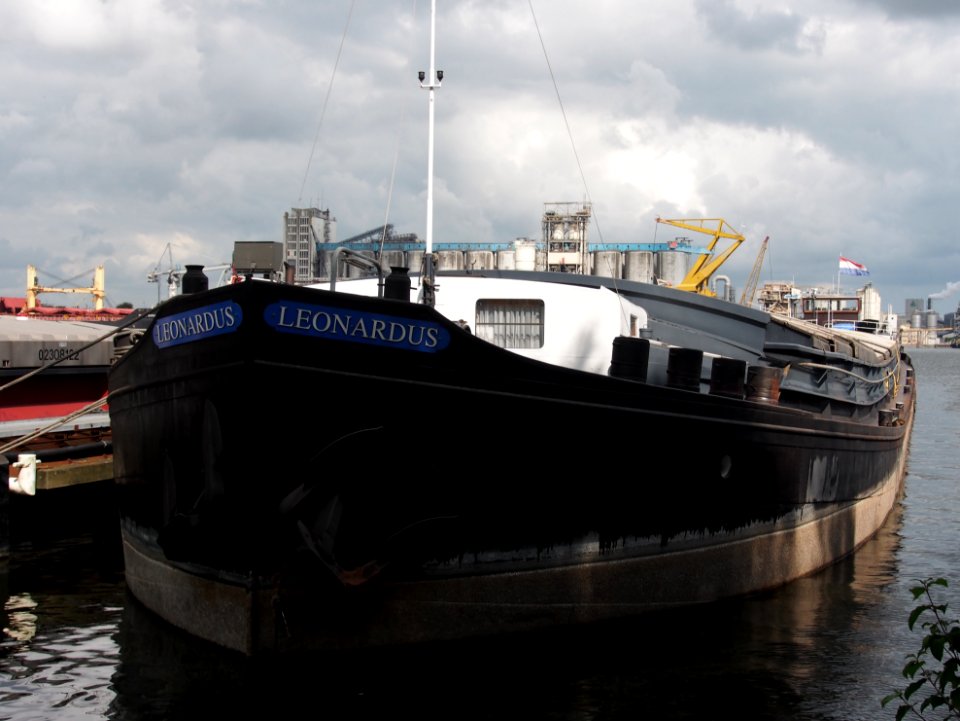 Leonardus, ENI 02100641, foto 1