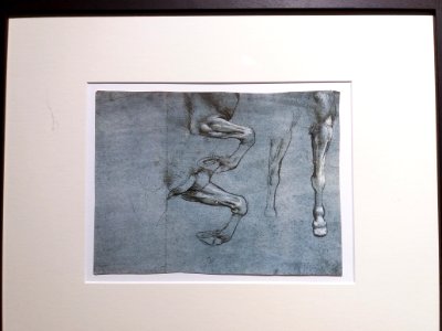 Leonardo da Vinci, les inventions d'un génie - Étude de jambes de cheval, fac similé