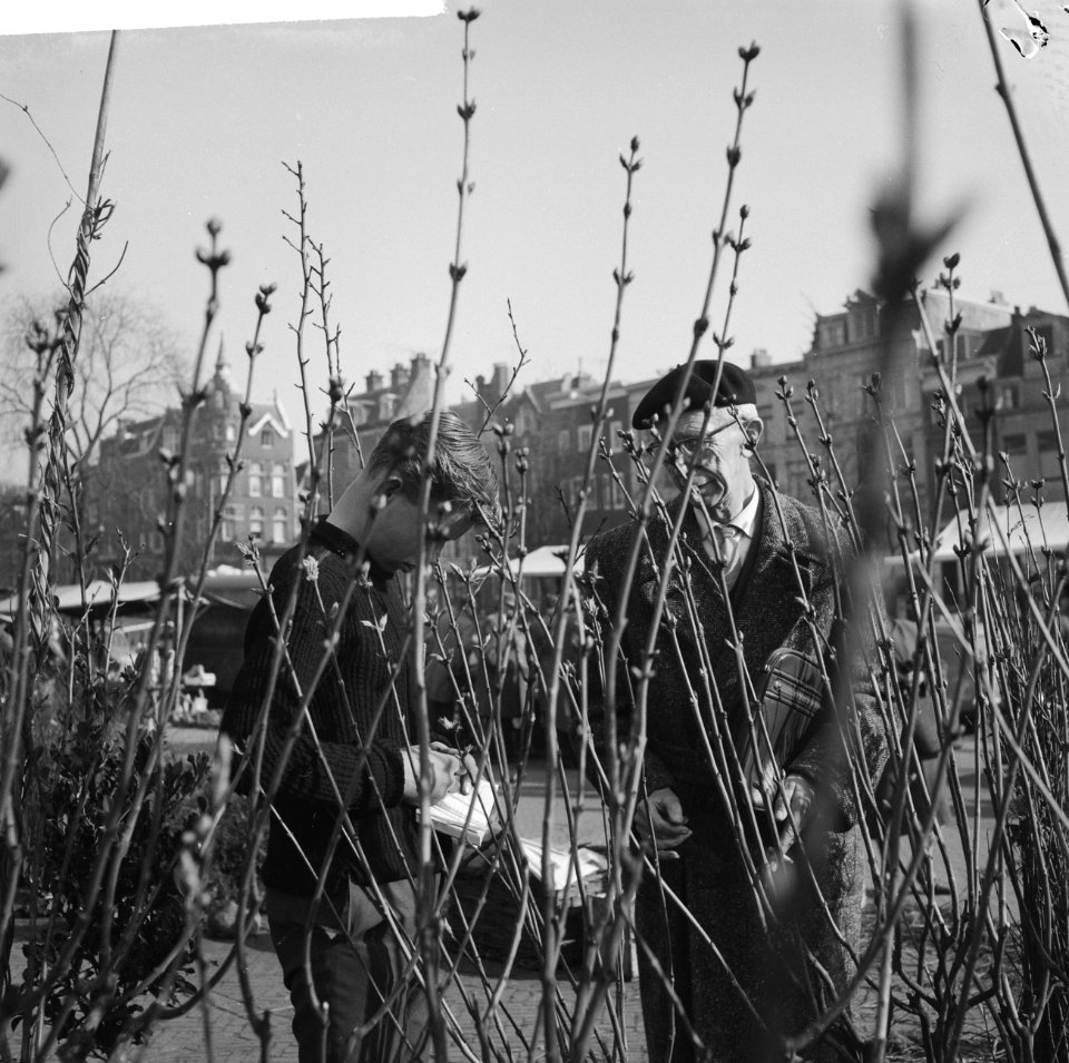 Lente op het Amsterdamse Amstelveld Heesterverkoop Oude man tussen de heesters, Bestanddeelnr 912-1807