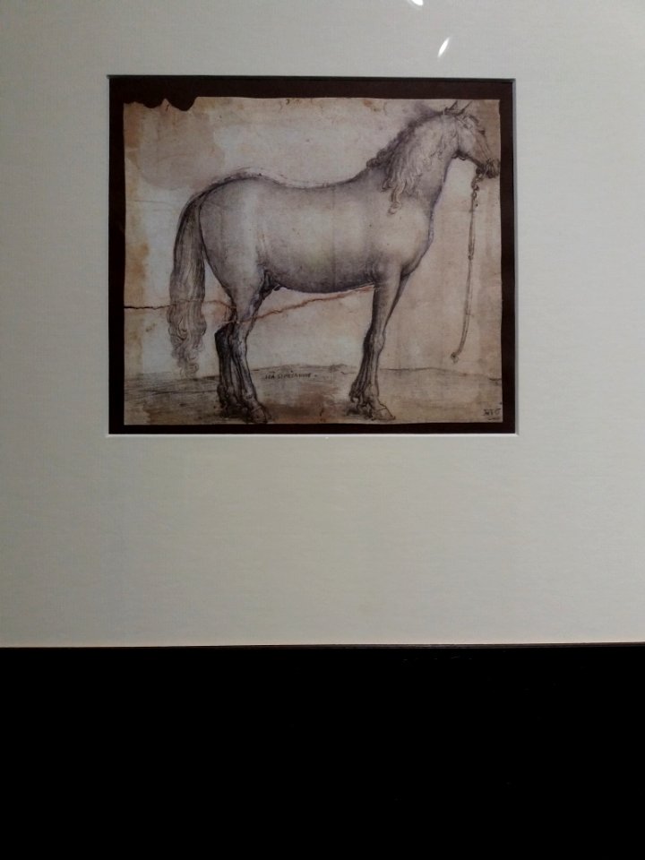 Leonardo da Vinci, les inventions d'un génie - Johannes Stradanus, Cheval au repos, dessin original