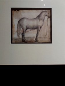 Leonardo da Vinci, les inventions d'un génie - Johannes Stradanus, Cheval au repos, dessin original