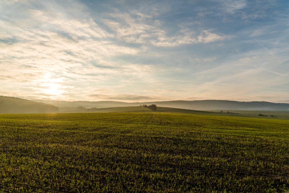 Meadow sunset sky