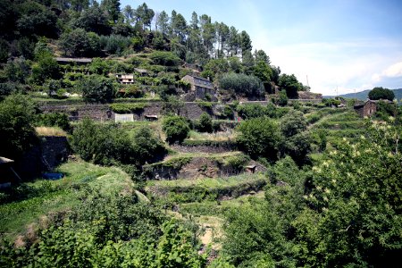 Les bancels des Calquières