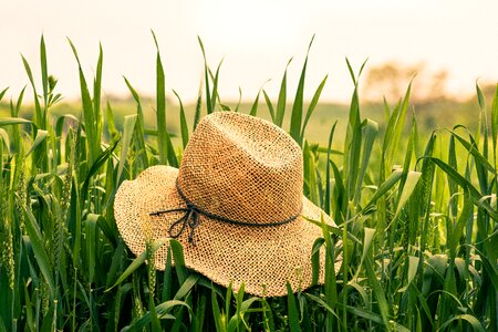 Grain green hat