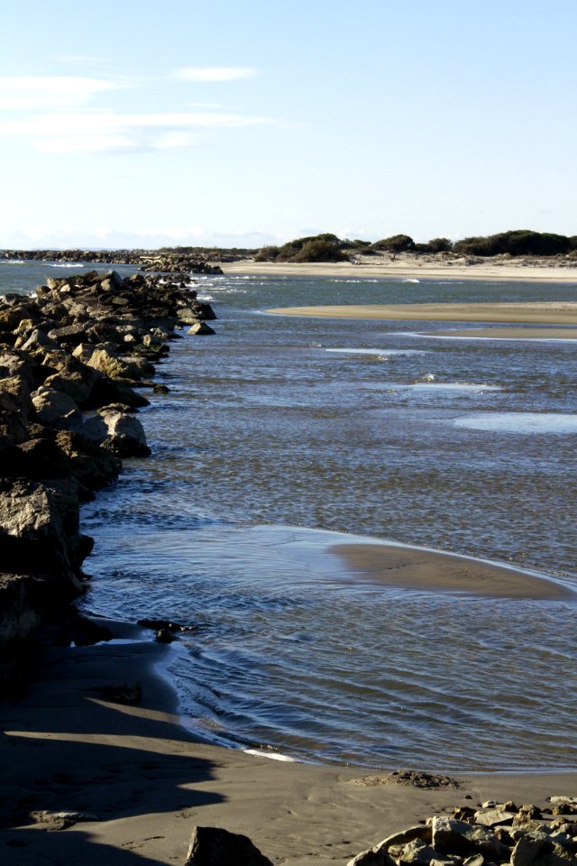 Les sables et eaux de Camargue