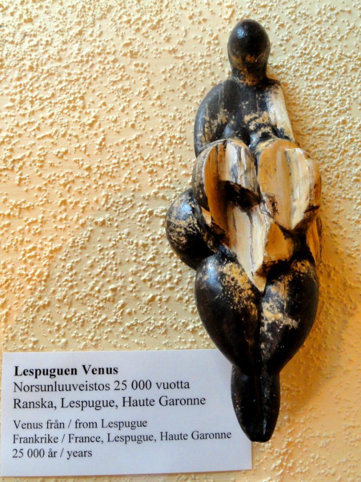 Lespugue Venus - Fossils in the Arppeanum - DSC05512