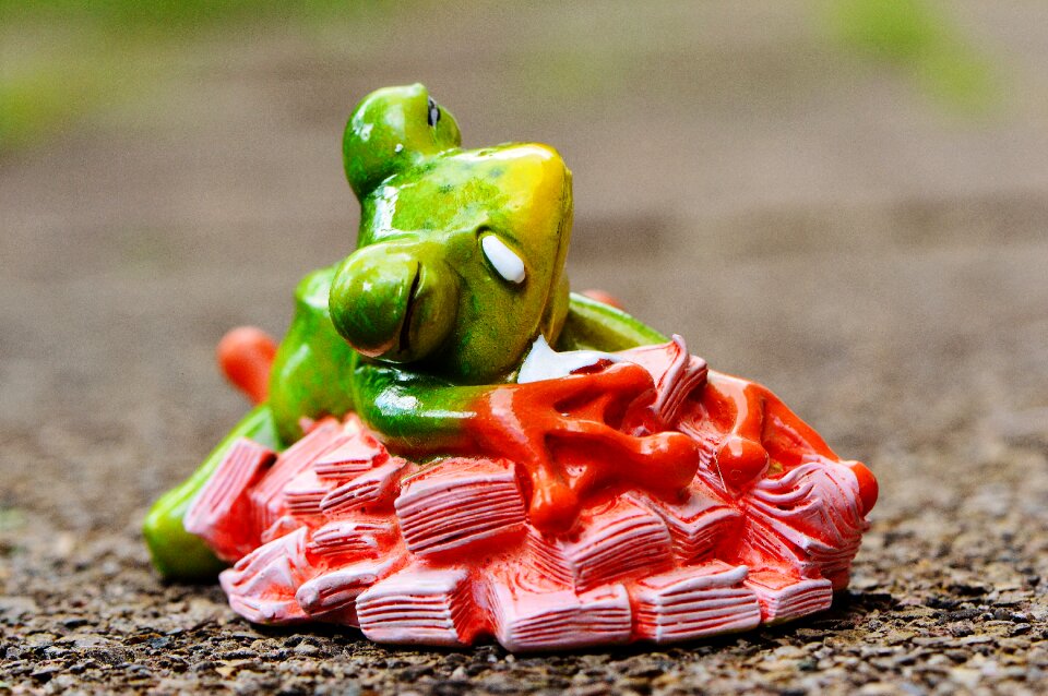 Frog figure funny