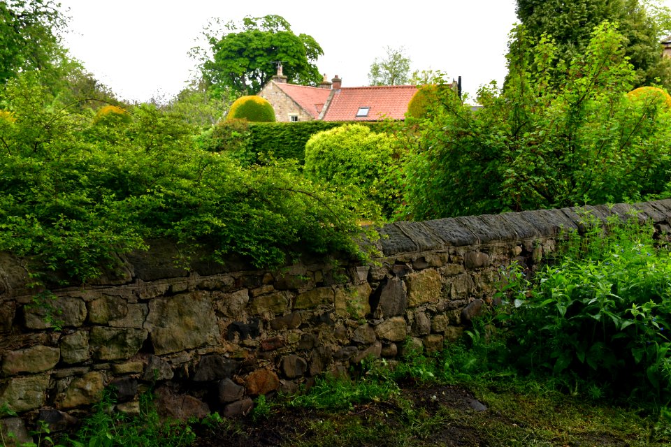 Lesbury (2021-05-25) 26