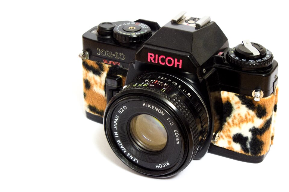 Fashion plush ricoh