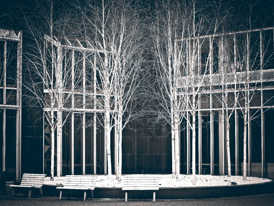 Museum art installation black white