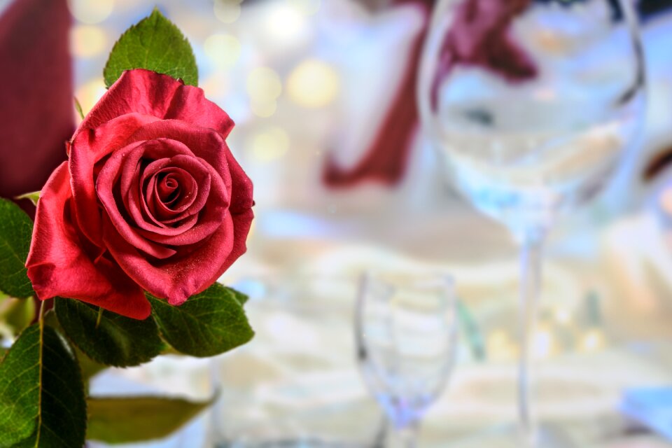 The feast of the honeymoon evening