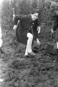 Leerlingen van Rosj Pina school planten bomen in Amstelpark, Amsterdam, Bestanddeelnr 924-2539
