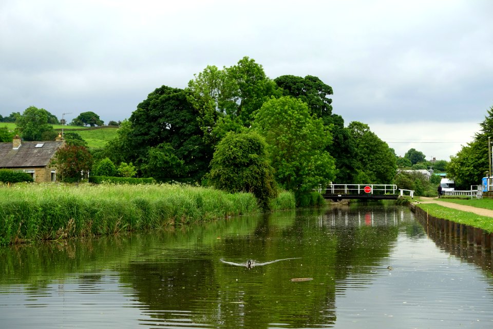 Leeds and Liverpool Canal - Skipton, North Yorkshire, England - DSC01069