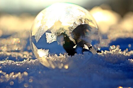 Fantasy winter frozen