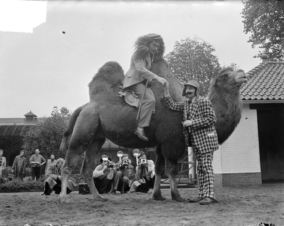 Leerling fotografen examen in Amsterdam, Bestanddeelnr 904-2489