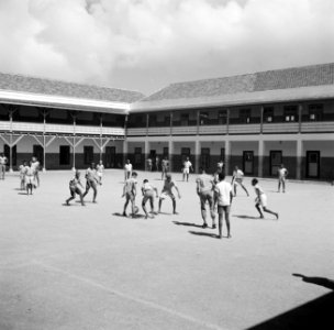 Leerlingen van de school van het klooster Scherpenheuvel op Curaçao op het schoo, Bestanddeelnr 252-8582