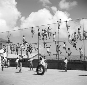 Leerlingen van de school van het klooster Scherpenheuvel op Curaçao klimmen in e, Bestanddeelnr 252-8576