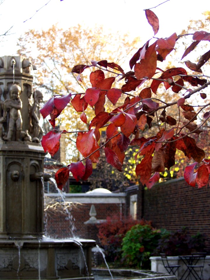 Leaves and fountain in Mellon Park, Pittsburgh