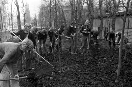 Leerlingen van tuinbouwschool Lineaus helpen bomen planten in Artis, Bestanddeelnr 927-0990