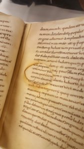 Leeuwaren-Tresoar-Sessie (5)