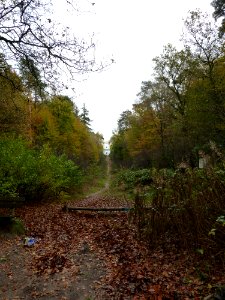 Leersum-Donderberg met graftombe (9)