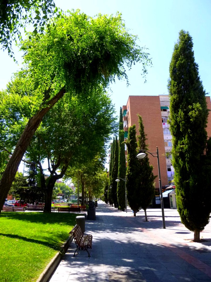 Leganés - Barrio de Zarzaquemada 06