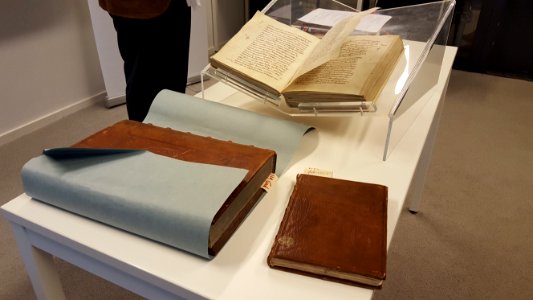 Leeuwaren-Tresoar-Sessie (2)