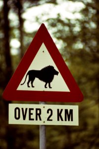 Leeuwepark bij Arnhem bord over 2 kilometer leeuwen, Bestanddeelnr 254-8102