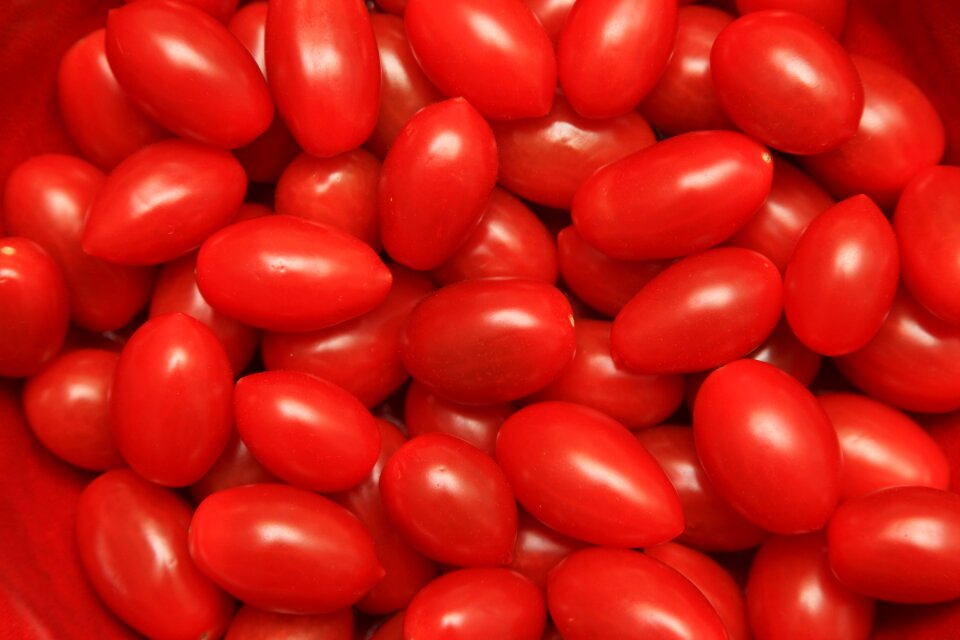 Tomatoes tomato bowl background