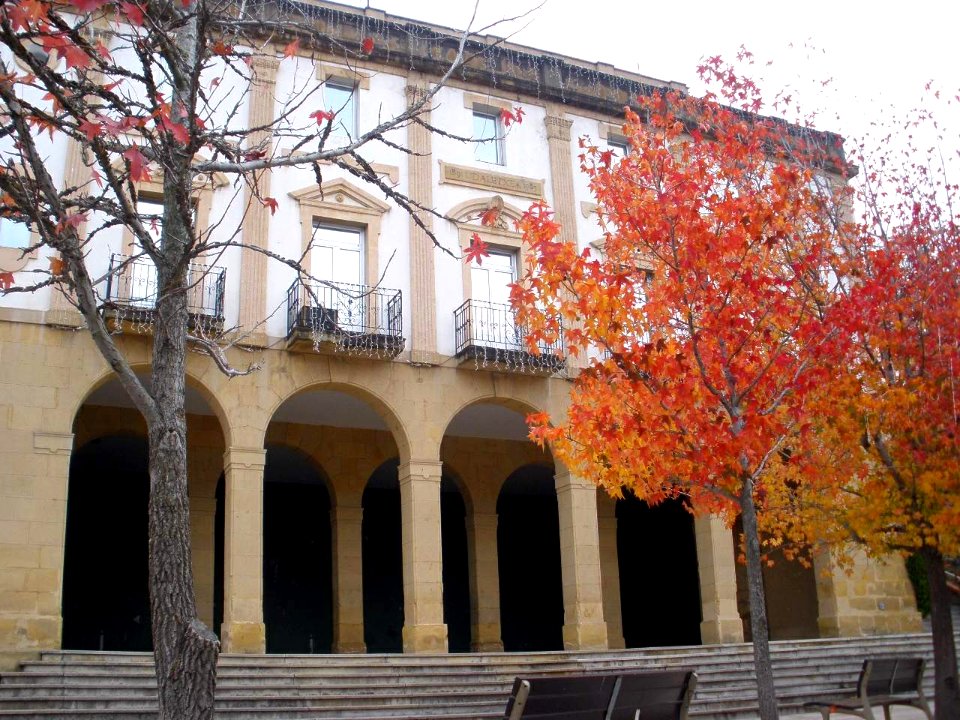 Leioa - Ayuntamiento 2