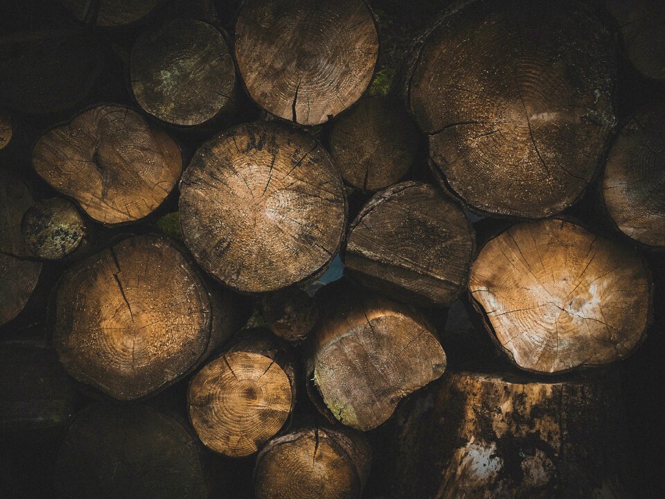 Logs wood wood logs